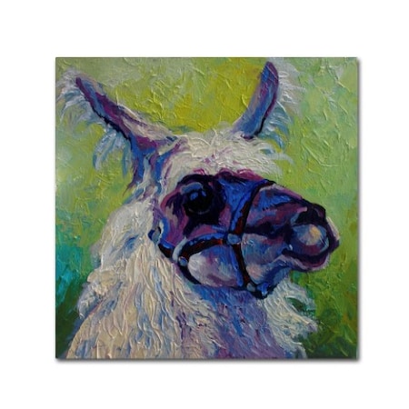 Marion Rose 'Llama Big' Canvas Art,24x24